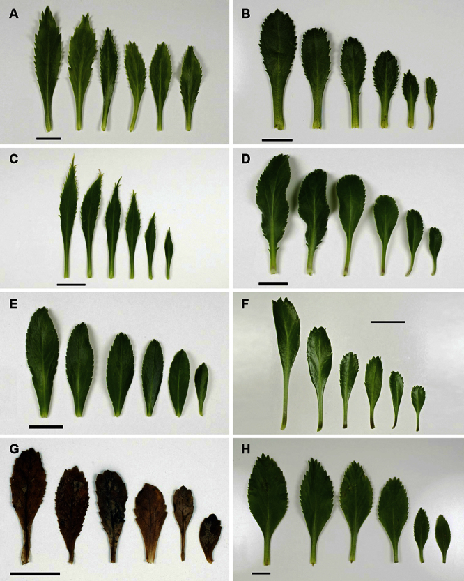 Figure 5.