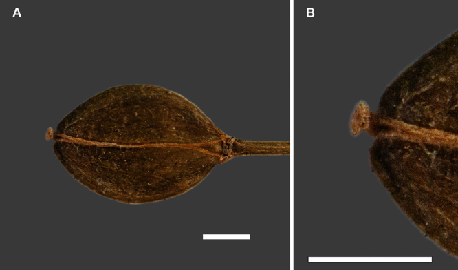 Figure 49.