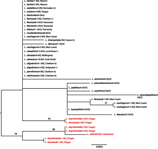 Figure 4.