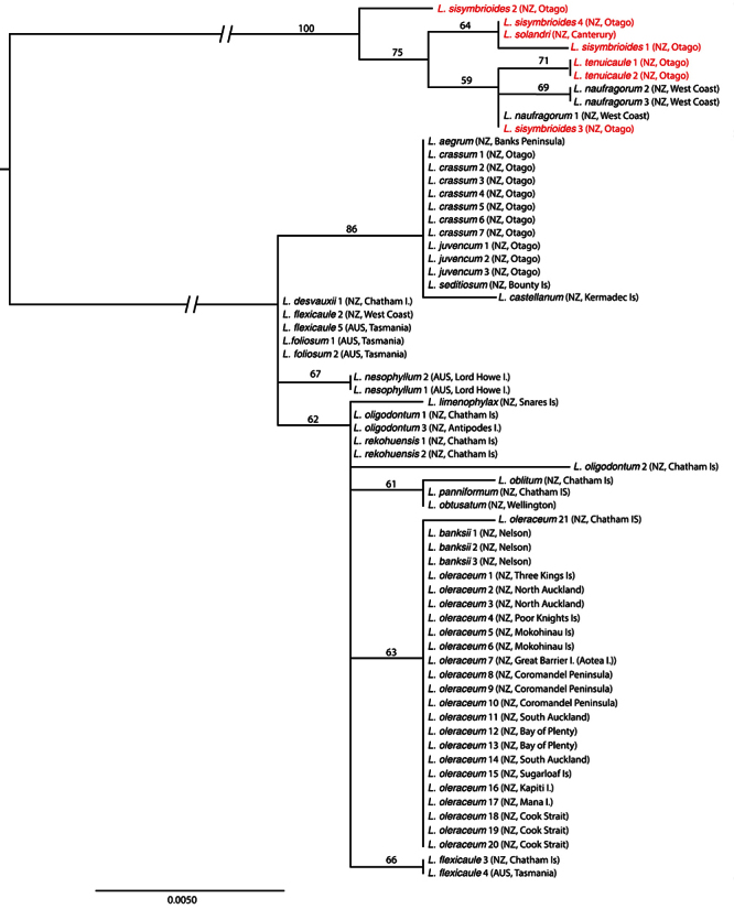 Figure 2.