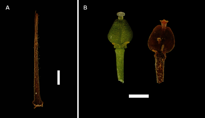 Figure 24.