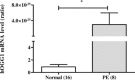 Fig 10