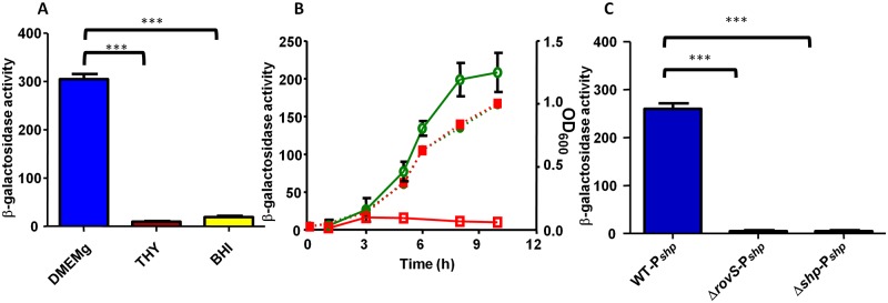 FIG 1 