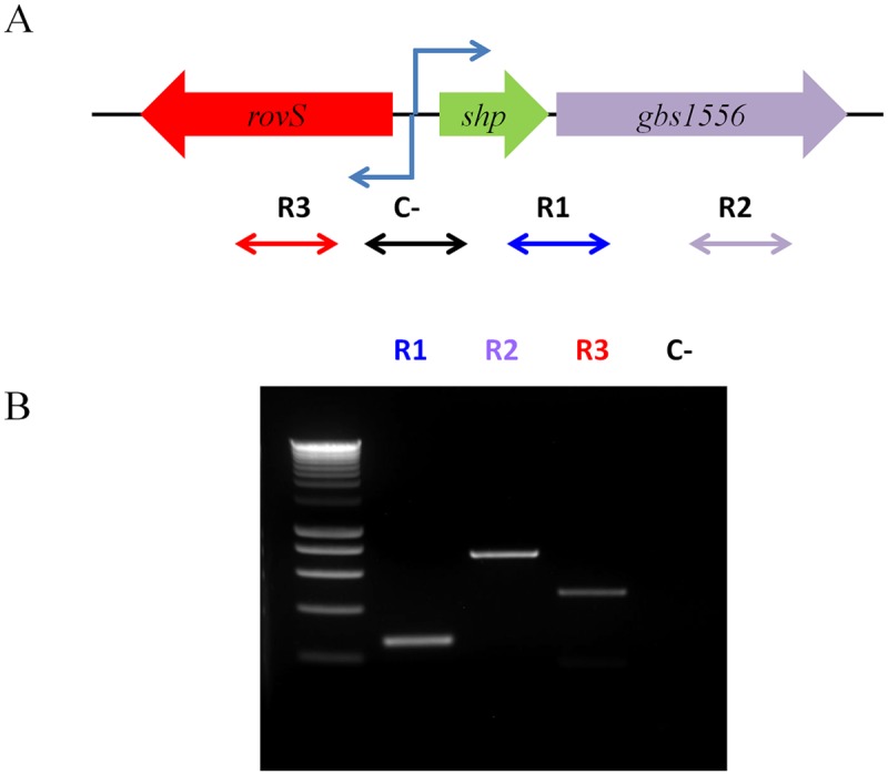 FIG 3 