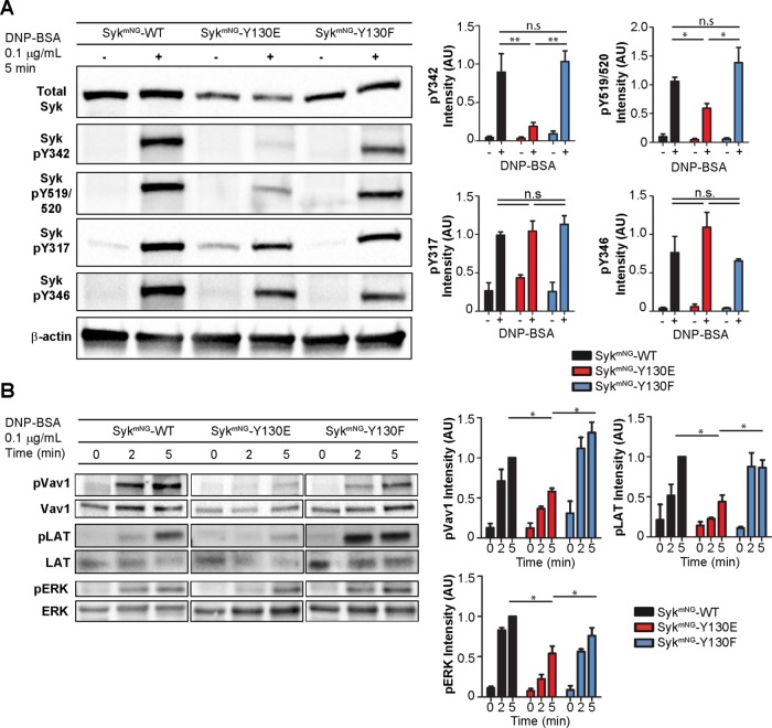 FIGURE 6: