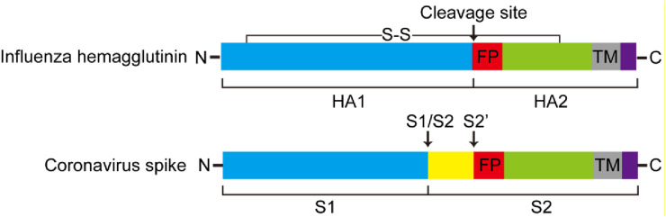 Fig. 3