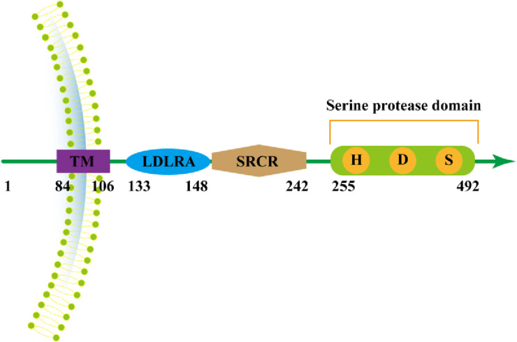 Fig. 2