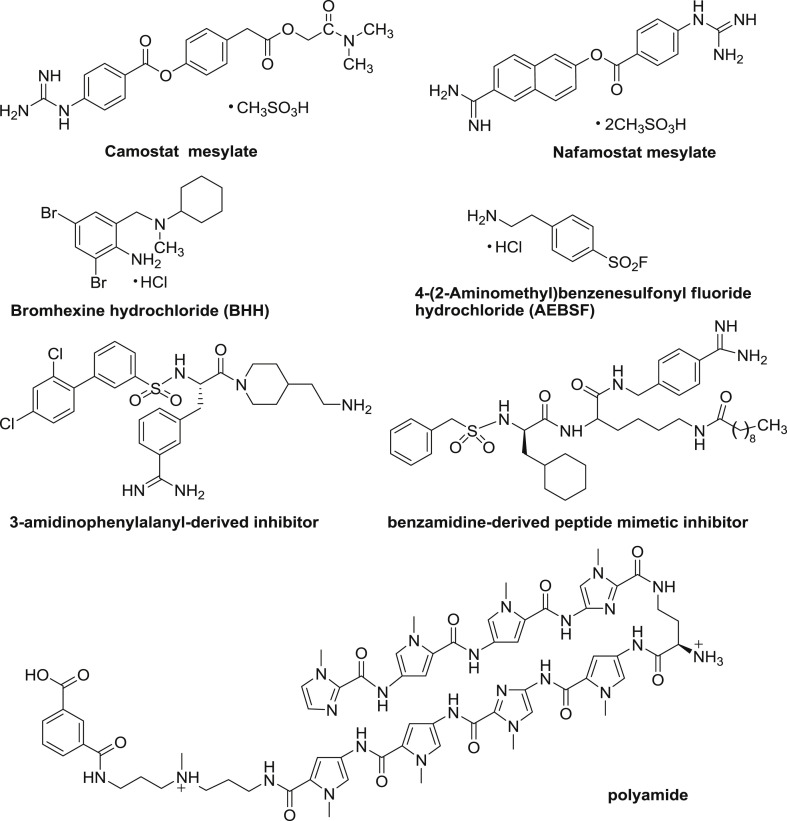 Fig. 7