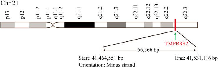 Fig. 1