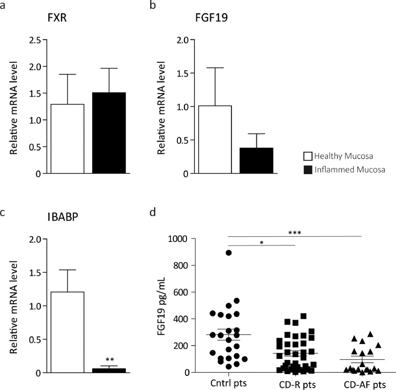 Fig 7