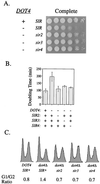 FIG. 8