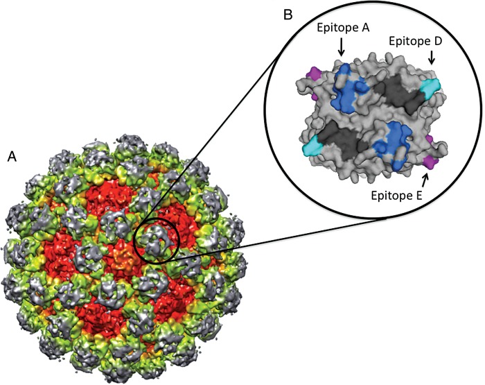 Figure 2.