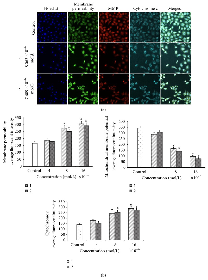 Figure 14