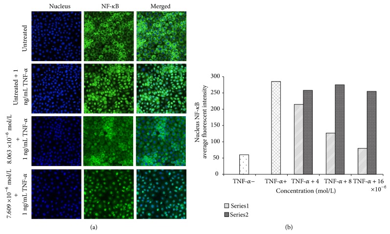 Figure 16