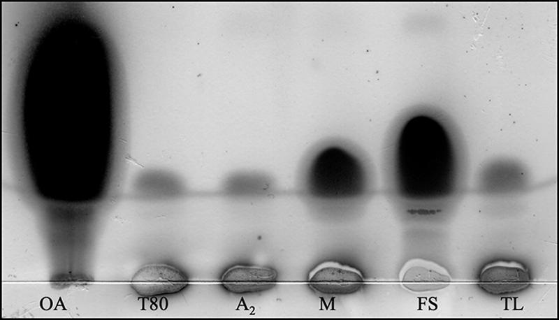 FIG. 6.