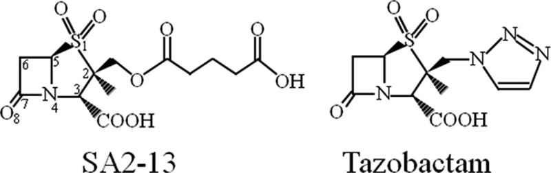 Fig. 1.