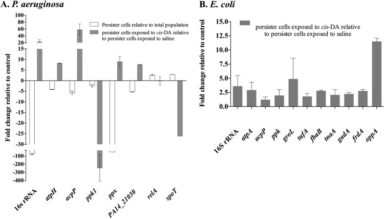 FIG 10