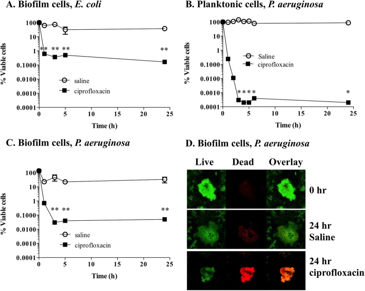 FIG 1