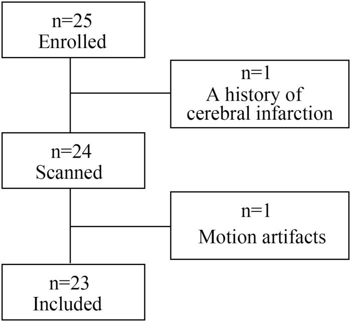 FIGURE 1