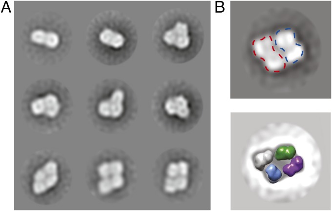 Fig. 4.