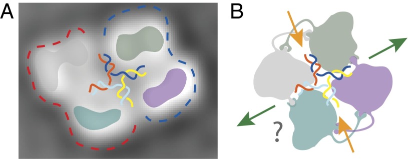 Fig. 5.