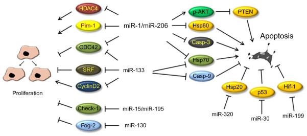 Figure 10.4