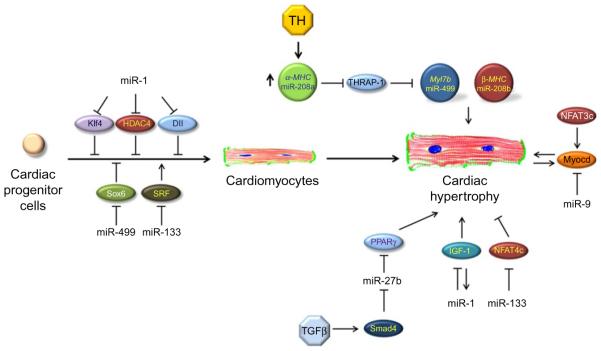 Figure 10.3