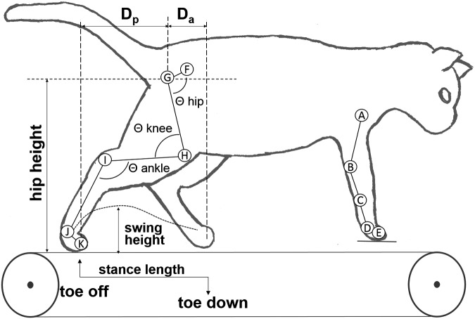 FIG. 2.