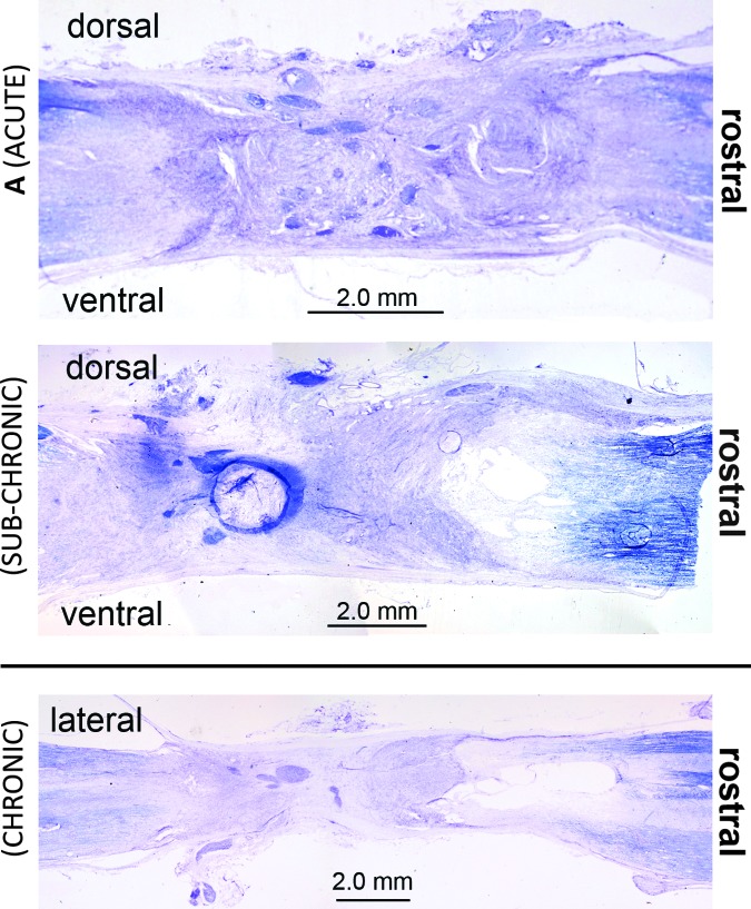 FIG. 9.