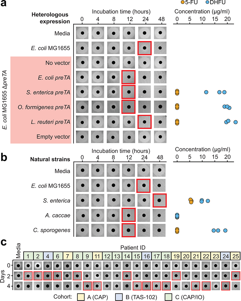 Extended Data Fig. 8