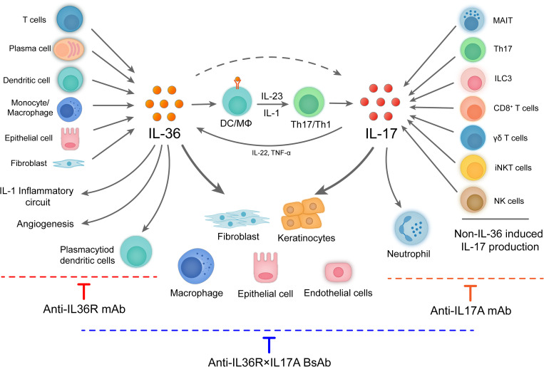 Figure 6