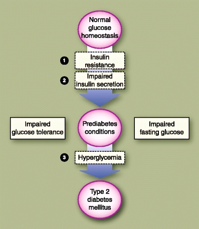 Fig. 1