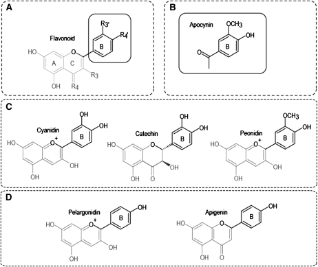 FIGURE 3.