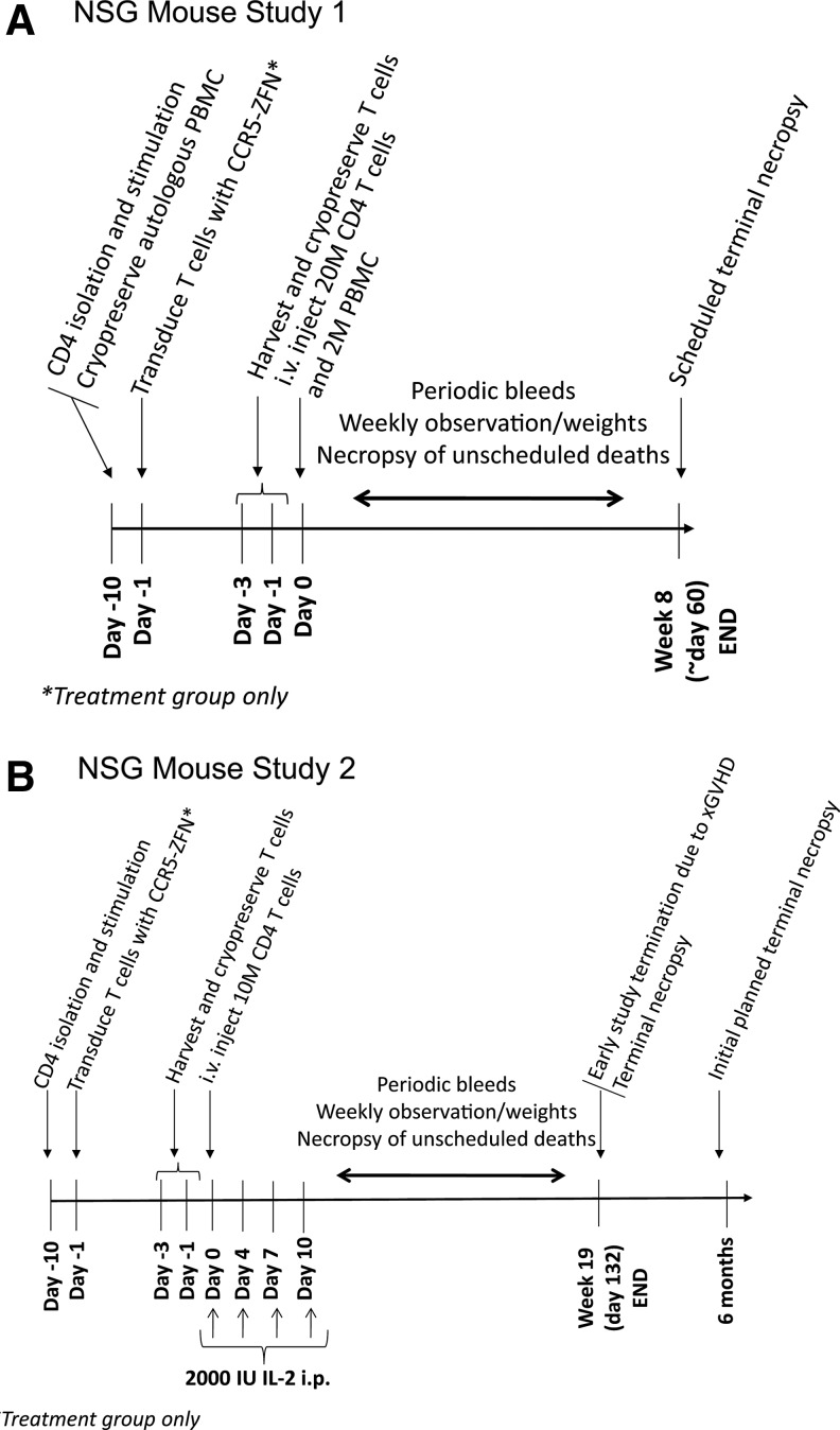 FIG. 6.