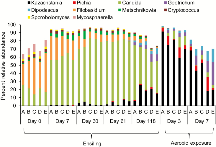 Figure 5.