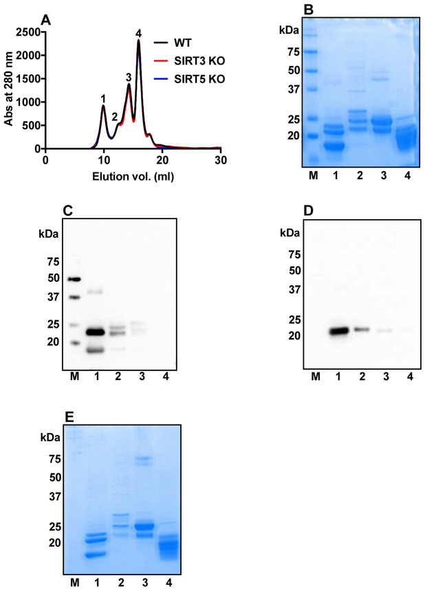 Figure 5: