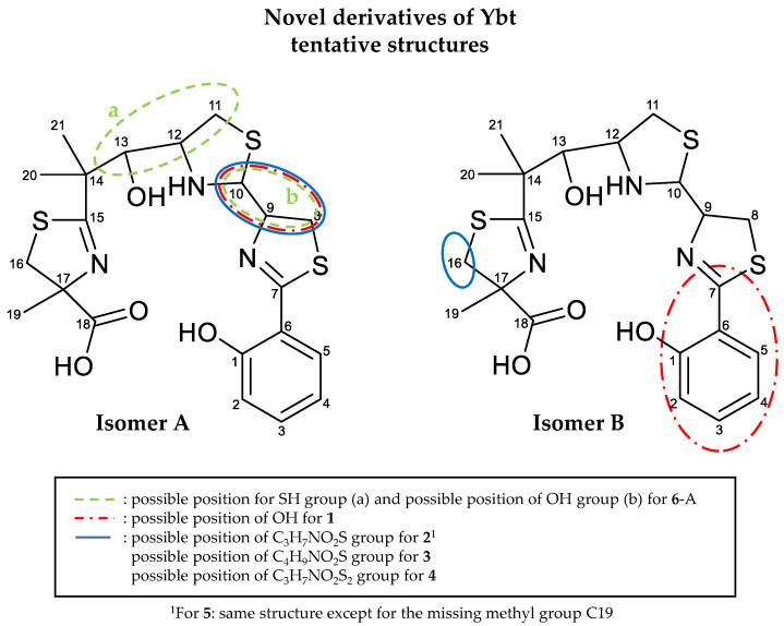 Figure 11