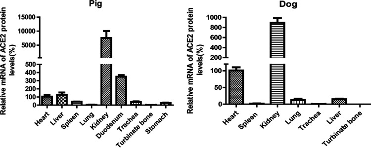 FIG 4