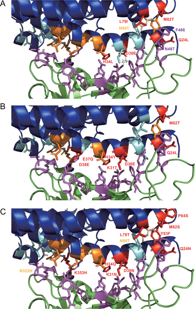 FIG 2