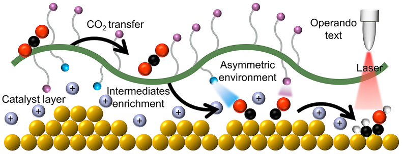 Figure 10