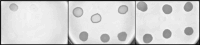 Fig 7