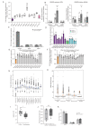 Figure 2—figure supplement 1.