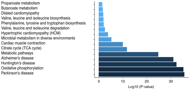 Figure 7