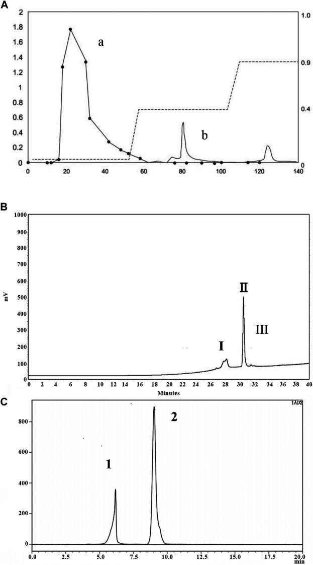 FIGURE 1