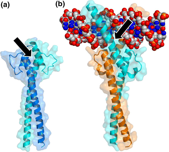 Fig. 2