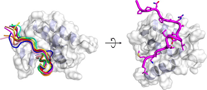 Fig. 4