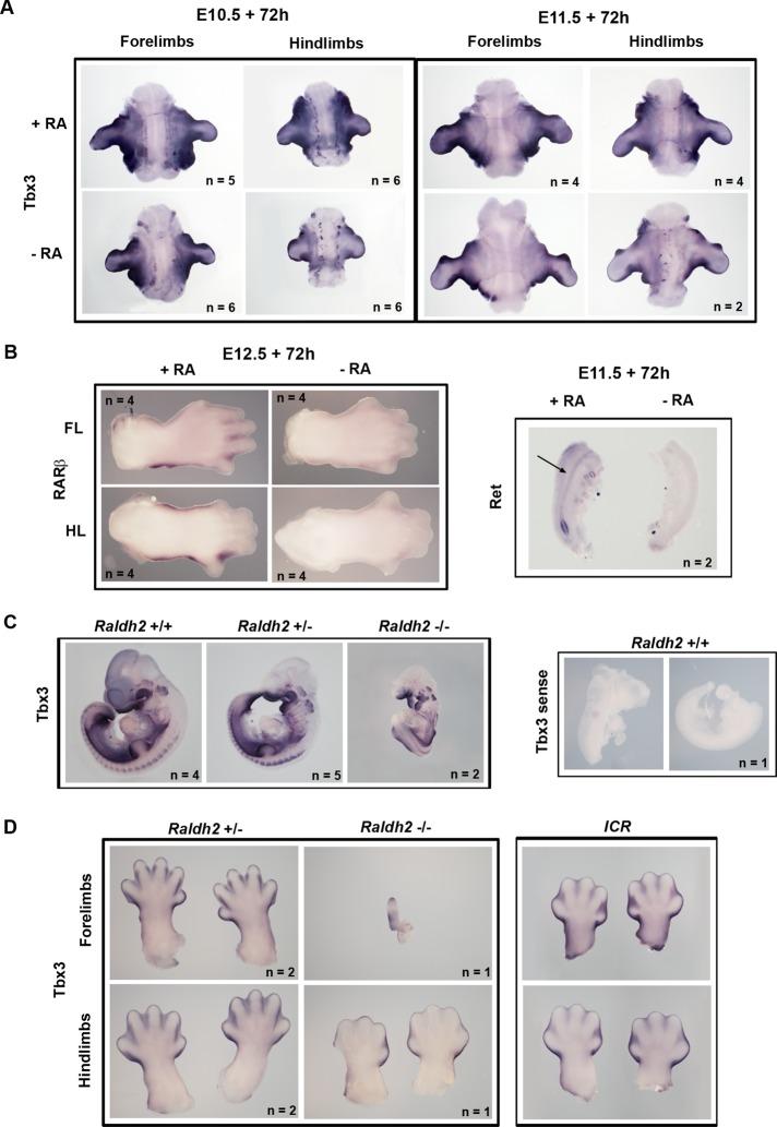 FIGURE 4: