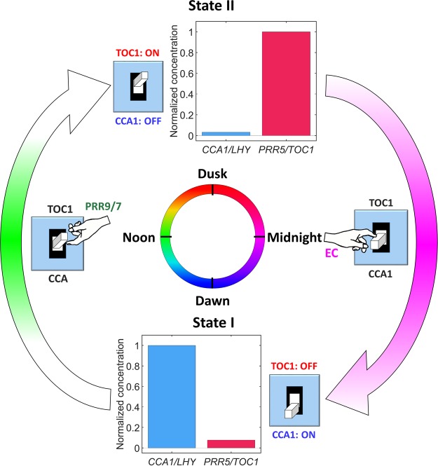 Figure 7