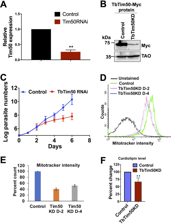 FIG 3