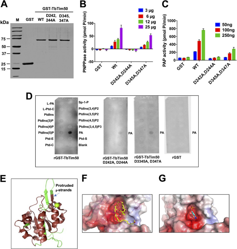 FIG 1